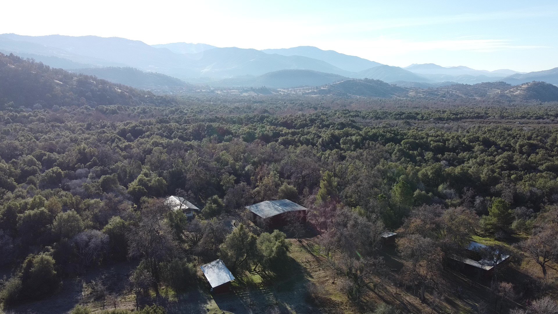 An overview of part of the job site, featuring some buildings in a heavily wooded valley.