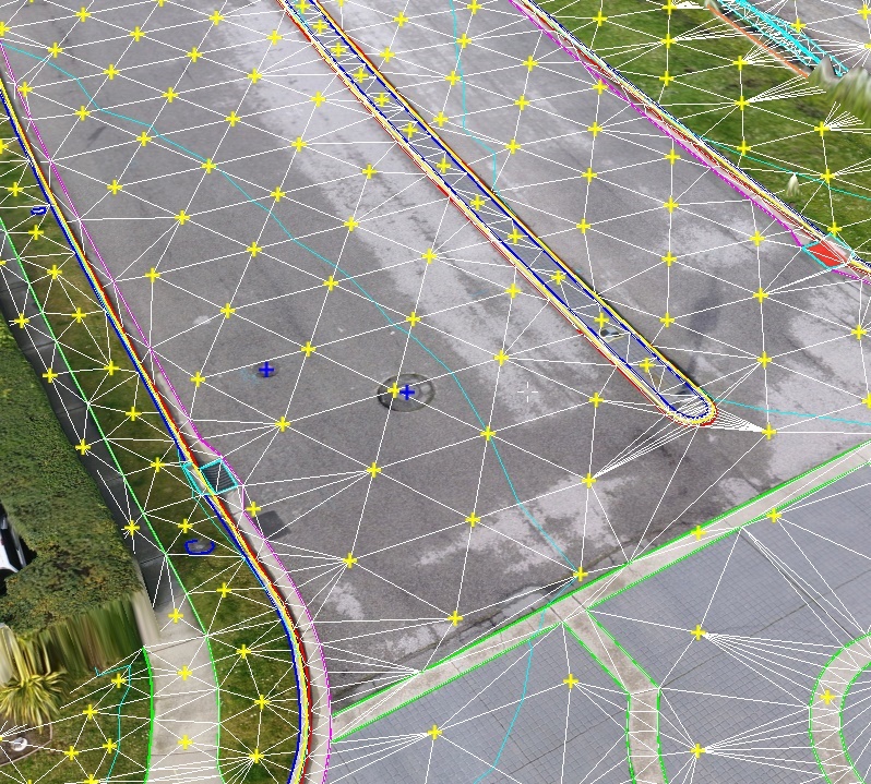 Drafted surface model with triangulation and mapped site features.