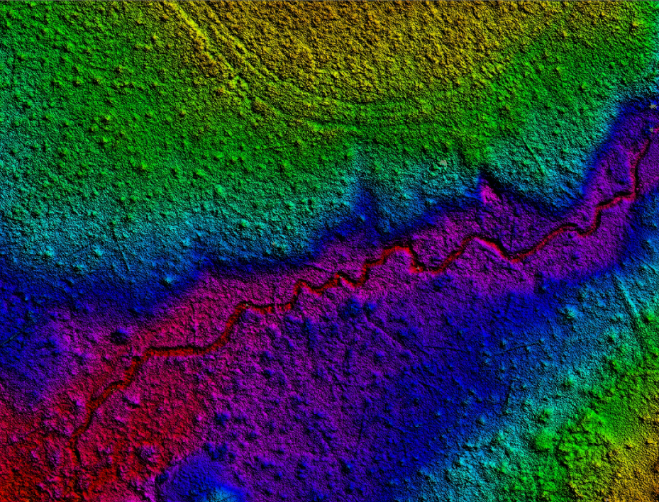 Surface model output derived from cleaned point cloud data.